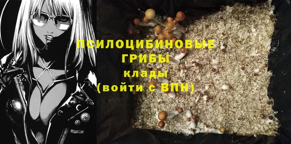сатива Балахна