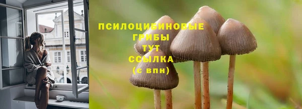 трава Гатчина