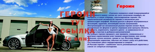 прущие грибы Нягань