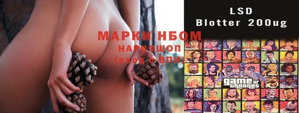 прущие грибы Нягань