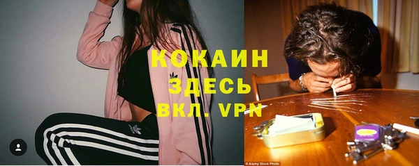 мескалин Няндома
