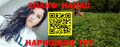 стаф Абакан