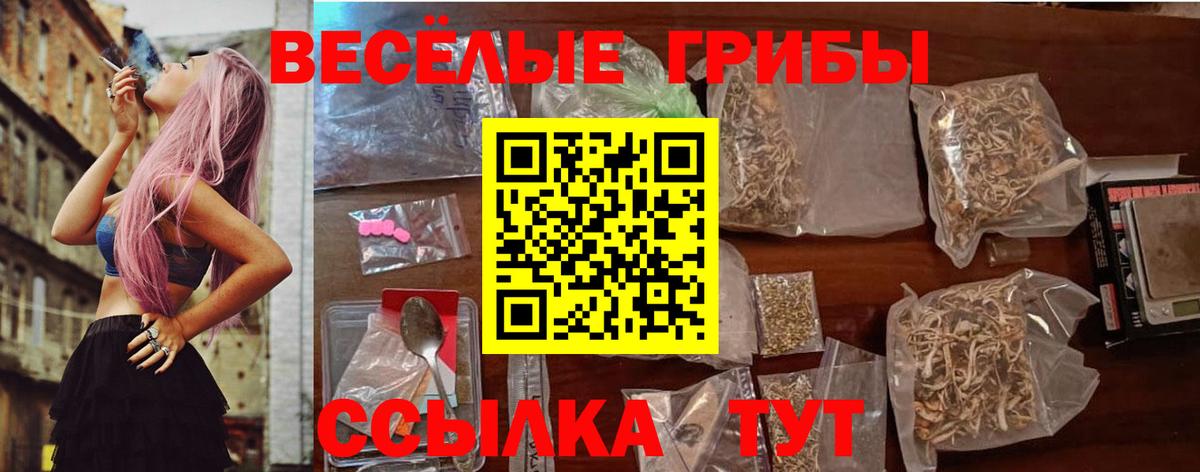 даркнет сайт  Ивантеевка  Псилоцибиновые грибы MAGIC MUSHROOMS 