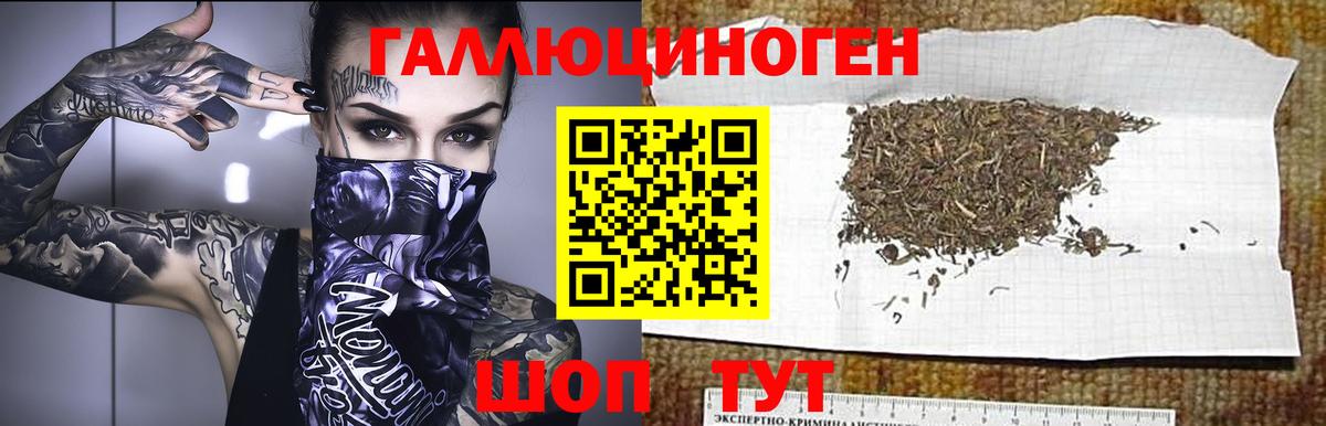 Псилоцибиновые грибы ЛСД Ивантеевка